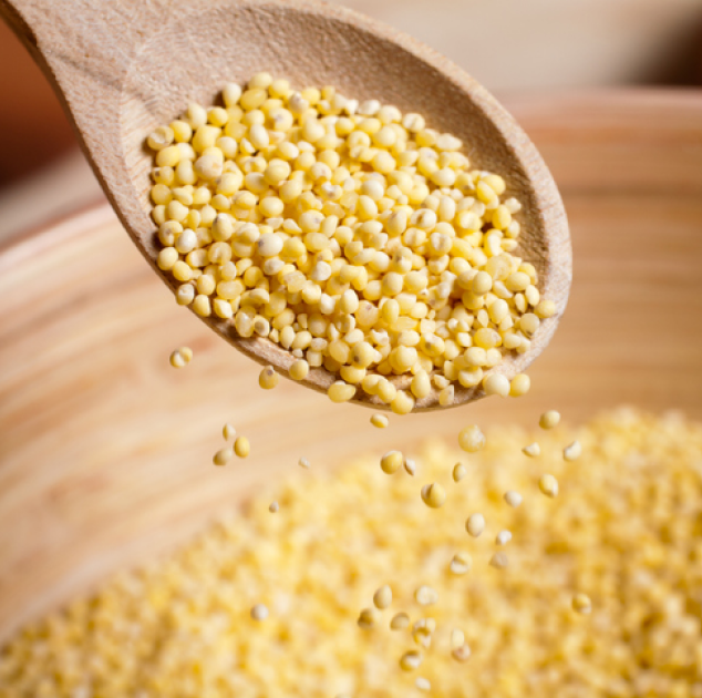 The Science Behind Millet: Understanding Its Impact on Blood Sugar Levels and Its Role in a Balanced Diet